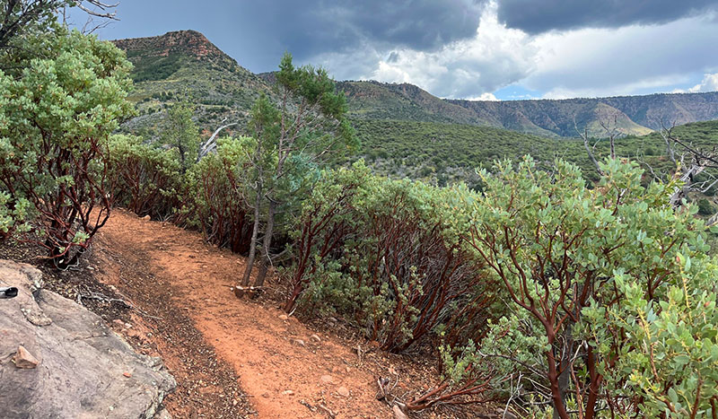 Arizona Mountain Bike Tour Arizona Mountain Bike Tour