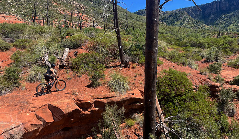 Arizona Mountain Bike Tour Arizona Mountain Bike Tour