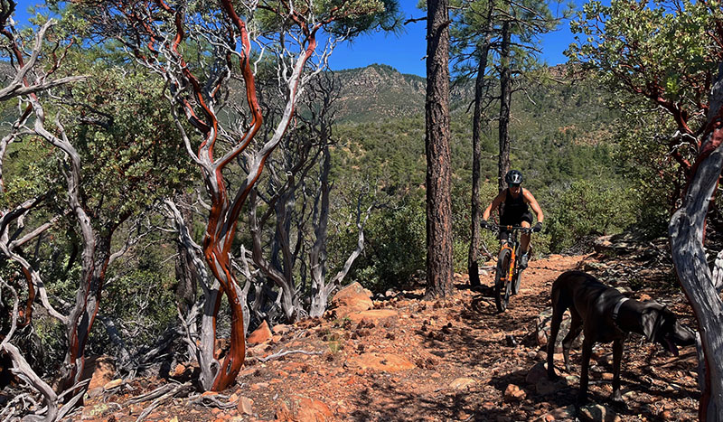 Arizona Mountain Bike Tour Arizona Mountain Bike Tour