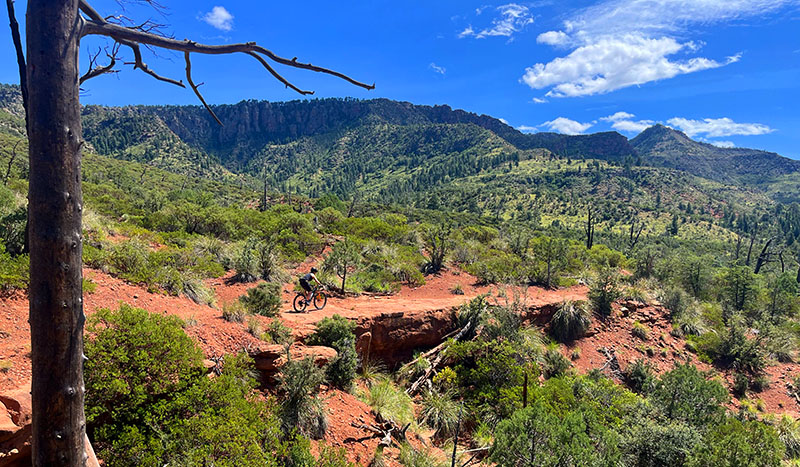Arizona Mountain Bike Tour Arizona Mountain Bike Tour